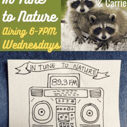 In Tune to Nature Podcast