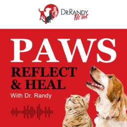 Paws, Reflect & Heal with Dr. Randy