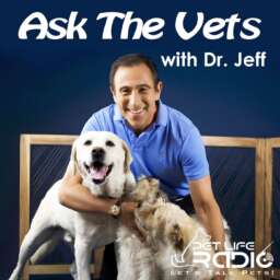 Ask the Vets with Dr. Jeff – Live Call-in Show
