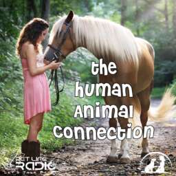 The Human-Animal Connection – Pet Life Radio Original