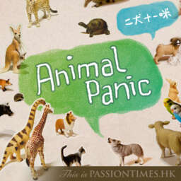 Animal Panic – PassionTimes Podcast (HD Video)