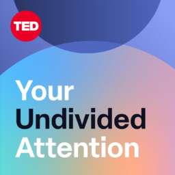 Your Undivided Attention