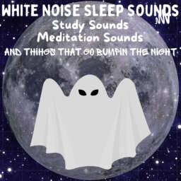 Movies and Books in Audio