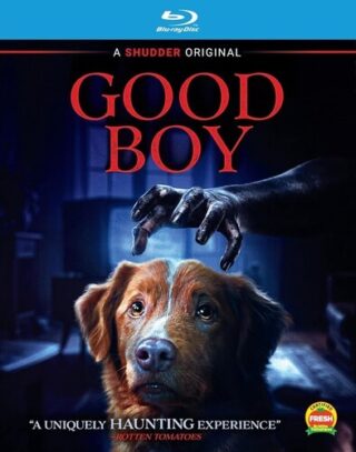 Good Boy [New Blu-ray] Sign Language, Widescreen